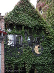 SX20223 Ivy overgrown house.jpg